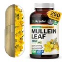 BIO KRAUTER Capsules Mullein 1200 mg 250 Compte - Extrait de feuille de Mullein végétalien pur pour les poumons - 125 jours d'approvisionnement - Suppléments de nettoyage pulmonaire et de soutien respiratoire - Non-OGM