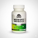 Memory Muscle – Advanced Nootropic Brain Supplement with Vitamin B12, Bacopa Monnieri & DMAE for Focus, Memory, Mental Clarity & Clean Energy – Premium Cognitive Support Formula