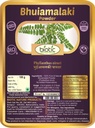 Veena Biotic Bhumi Amla Powder (Phylanthus Niruri) Bhoomi Amla Powder - Bhuiamlaki Powder - 100gm