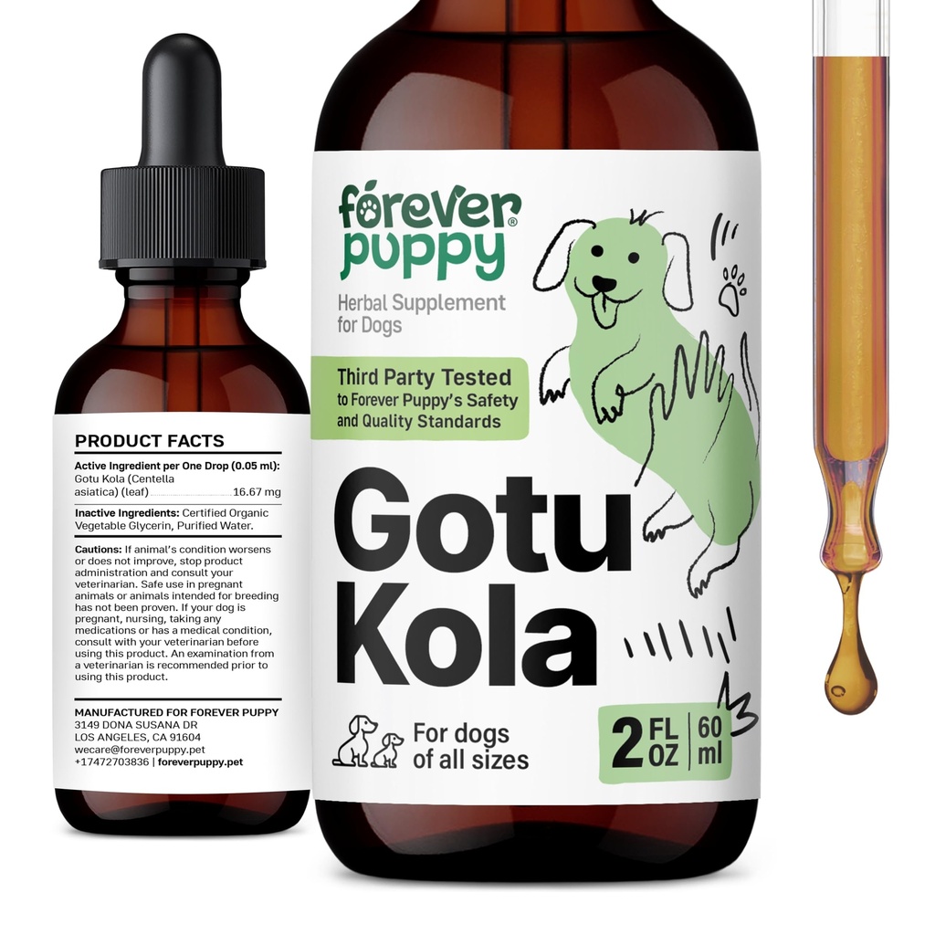Forever Puppy Gotu Kola Drops for Dogs - Centella Asiatica & Gotu Kola Extract for Brain Health Support - Liquid Brain Supplement for Dogs of All Rases & Sizes - 2 oz