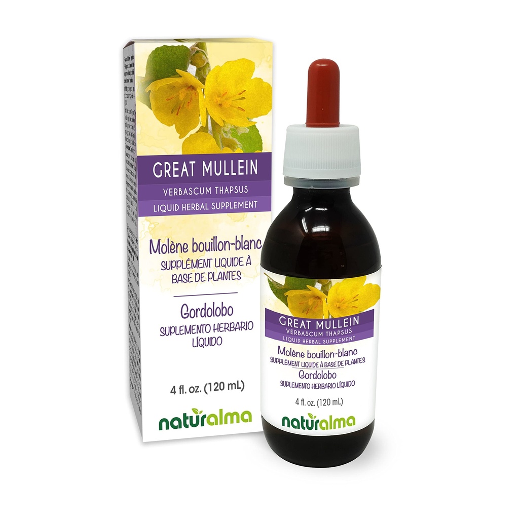 Naturalma Grande Mulléine ou Mulléine Commune (Verbascum thapsus) Fleur et feuille sans alcool Teinture - 4 fl oz Extrait liquide dans les gouttes - Supplément à base de plantes - Vegan