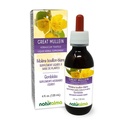 Naturalma Grande Mulléine ou Mulléine Commune (Verbascum thapsus) Fleur et feuille sans alcool Teinture - 4 fl oz Extrait liquide dans les gouttes - Supplément à base de plantes - Vegan