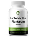 Lactobacillus Plantarum Probiotic Supplement 240 Comprimés 3 Million d'UFC Probiotiques pour les hommes et les femmes soutient la santé digestif et gustative intestinale (240, Lactobacillus Plantarum)