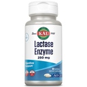 KAL Lactase Enzyme 250 mg, Gezonde Digestie Ondersteuning voor Lactose Onverdraagzaamheid, Liquid-Filed ActivGels Made Without Soy, 250 FCC Units, 30 Servings, 60 SoftGels