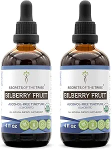 Geheimen van de Stam Bilberry Fruit USDA Organisch 