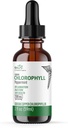 Nature's Fusions Nutri Liquid Chlorofyl Peppermint 100mg - Internal Deodorant & Detoxicier - Liquid Drops - 2 fl oz (59 Servings, 100mg per Serving) - Clorofila Liquida