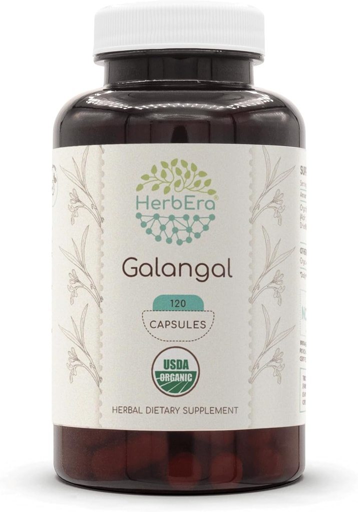 HerbEra Galangal 120 Capsules, 500 mg, USDA Galangal biologique (Alpinia Galangal) Racine séchée (120 Capsules)