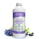 Begraven Treasure Fulvic Minerals Grape Flavored  Toevoegen aan water 32 porties
