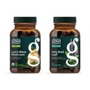 Gaia Kruiden Leeuwen Paddestoelen - Help handhaven neurologische gezondheid - 120 Vegan Liquid Phyto-Capsules & Holy Basil Leaf - helpt een positieve mindset en balans in tijden van stress - 120 Vegan Li