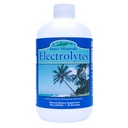 Eidon Electrolytes - Liquid Electrolyte Drops, Ionic Mineral Supplement to Add to Water, Replenish & Balance The Electrolyte Equilibrium, Hydration Support, Unsweeted Sugar Free - 18 oz