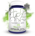 Nootropics Depot Magtein Magnesium L-Threonate Capsules 