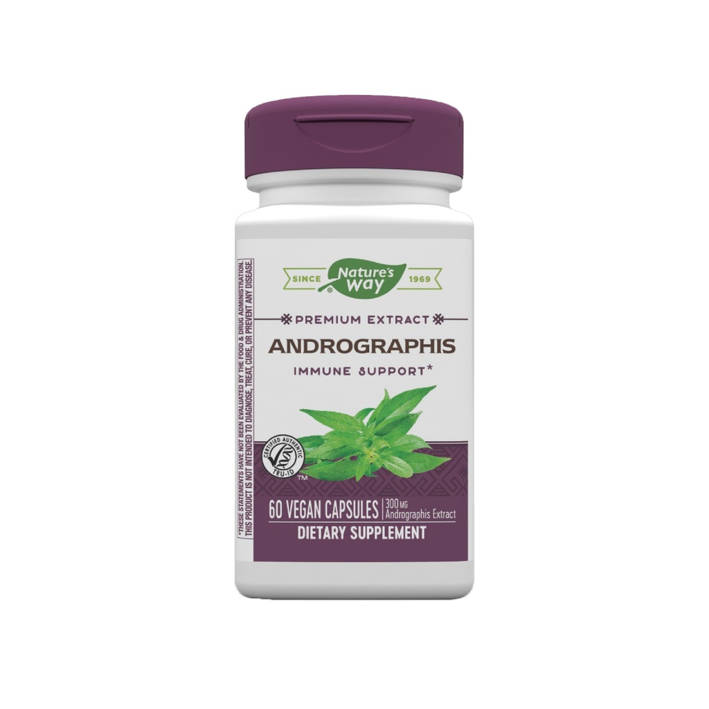 Nature's Way Premium Extract Andrographis, Immune Support*, 300 mg Andrographis Extract per portie, 60 capsules