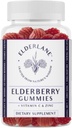 Elderlane Vlierbes Gummies voor volwassenen en kinderen - Immune Support - Non-GMO, Vegan, Glutenvrij, Gelatinevrij - 60ct, 100mg