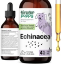 Forever Puppy Echinacea Drops for Dogs - Immunity Support & Respiratory Health w/Echinacea Herb Extract - Liquid Immune Support Supplement voor honden van alle rassen en maten - 4 oz