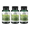 Swanson Lion's Mane Mushroom - Traditioneel Brain Booster supplement Gemaakt van Hericium Erinaceus (60 capsules, 500mg Elke) 3 Pack
