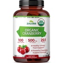 Zazzee USDA Biologische Cranberry 25:1 Extract, 500 mg per capsule, 100 Vegan Capsules, Meer dan 3 maanden Supply, Gestandaardiseerd, Geconcentreerd 25X Extract, 100% Vegetarisch, Gecertificeerde Biologische, Niet-GMO All-Natural