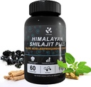 Shilajit Himalaya supplement 60% Fulvinezuur, 120 Vegan Capsules Levering met Pure Natural Shilajit, Ashwagandha, Ginseng Extract - hoog in sporen mineralen voor mannen Energie-ondersteuning