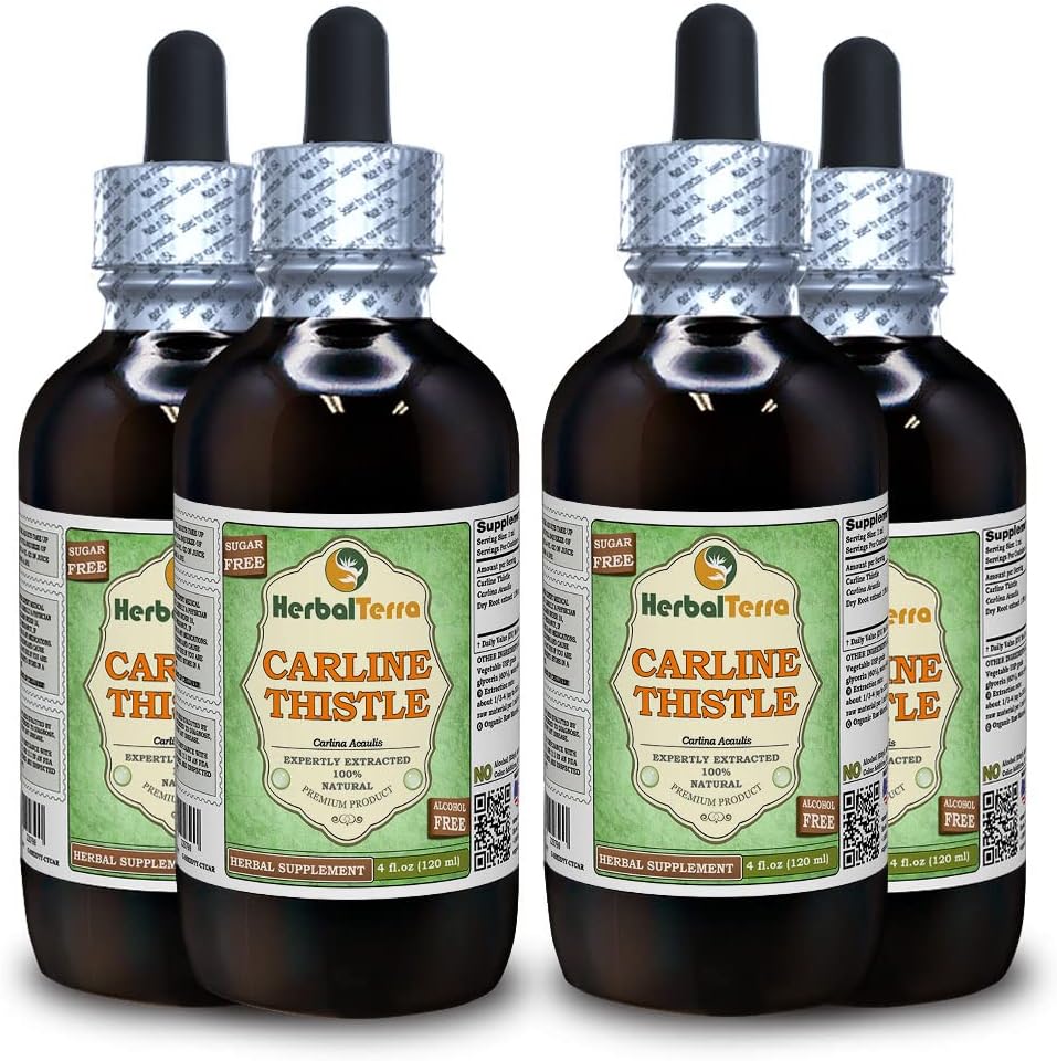 Carline distel (Carlina acaulis) Glyceriet, gedroogde wortels Alcoholvrije vloeibare extract (Grote naam: HerbalTerra, Trots Made in USA) 4x4 fl.oz (4x120 ml)