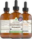 RawGuru Lion's Mane Mushroom Tinctuur - Vegan Lion's Mane Extract met sporenmineralen - Nano-Processed Immunity Boost & Cognitive Supplement - 120 porties Vegan Drops per 120 ml, Verpakking van 1