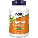 MAINTENANT suppléments, Ojibwa extrait de plantes 450 mg, mélange concentré, sans alcool, 4:1 extraits de plantes, 180 capsules de légumes