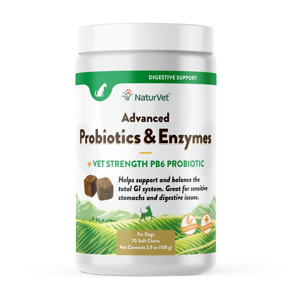 NaturVet Advanced Probiotica & Enzymes, PB6 Honden Zachte Kauwen om te helpen gevoelige maagden en spijsverteringsproblemen, Hickory Smoked Bacon Flavored Pet Supplement voor honden meer dan 6 weken, 70 Graaf Jar