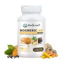 Joint Immune Support Supplement, Gepatenteerd Blend Turmeric Curcumin C3 Complex met Black Pepper, Boswellia PS Extract & Gember, Snel-Active 20 minuten, 8-uurs Sustained Release, 120 Caplets - Sanjevani