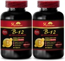 methycobalamine bio - METHYLCOBALAMIN VITAMINE B-12 5000 - sportvoeding uithoudingsvermogen & energie-supplementen, atletische prestatie-supplementen, energiepillen, hersenversterkerpillen - 2 flessen 120 Tabl