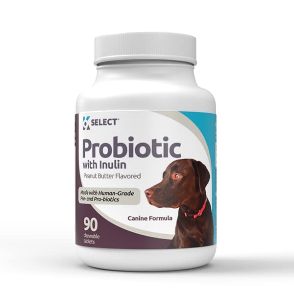 K9 Sélectionner le probiotique pour les chiens, avec l'inuline - 90 comprimés à croquer - Soutient la digestion saine et l'absorption des nutriments - Probiotiques pour chiens et enzymes digestives - Probiotiques pour chiens santé digestive
