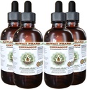 Cannelle Extrait liquide sans alcool, cannelle (Cinnamomum Verum) glycérite séchée glycérite Hawaii Pharm supplément naturel à base de plantes 4x4 oz
