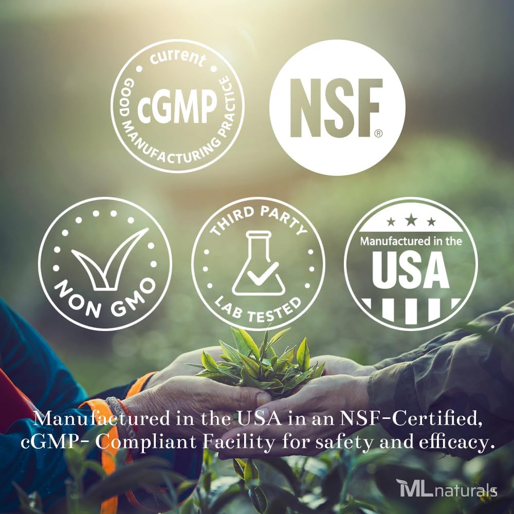 ML Naturals Fosfatidyl Serine 200 mg (standaard) 240 plantaardige capsules. Ondersteunt geheugen- en hersenfunctie, niet-GMO, NSF-gecertificeerd en cGMP-compliant