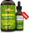 Chlorofyl Liquid Drops 100% Organic Vegan - Energie en immuunsysteem Booster supplement met munt smaak voor water - Natuurlijke interne deodorant - Extra sterkte 6000mg 120 porties