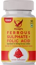 Hoag's Iron 65mg Ferrous Sulfate met calcium en foliumzuur supplement ondersteuning rode bloedcelproductie - 90 Veg tabletten