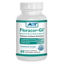 Floracor - Ondersteunt Gut & Intestinal Health - Premium Probiotic, Prebiotic and Enzyme Formula - 60 Vegetarische Capsules