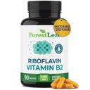 ForestLeaf Vitamin B2 Riboflavine 400mg - Energy, Skin & Cellular Health Supplement - Zenuwstelselondersteuning - Vitamine B 2 VIT B - Non-GMO & Glutenvrij - B2 Vitamine 400mg Plantaardige Capsules, 90 Tel.