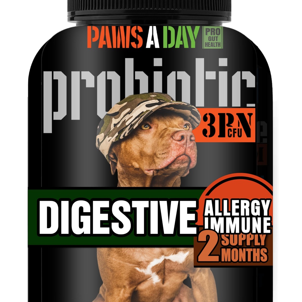 Army Soldier bezat hond Probiotica voor Gist, Itchy Skin & Itchy Ears, Hond Allergie Relief, Digestive Health, Occasional Diarree & Immune Support, 3 miljard CFU, 60 Yummy Chewables