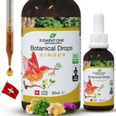 Natuurlijke botanische druppels 
