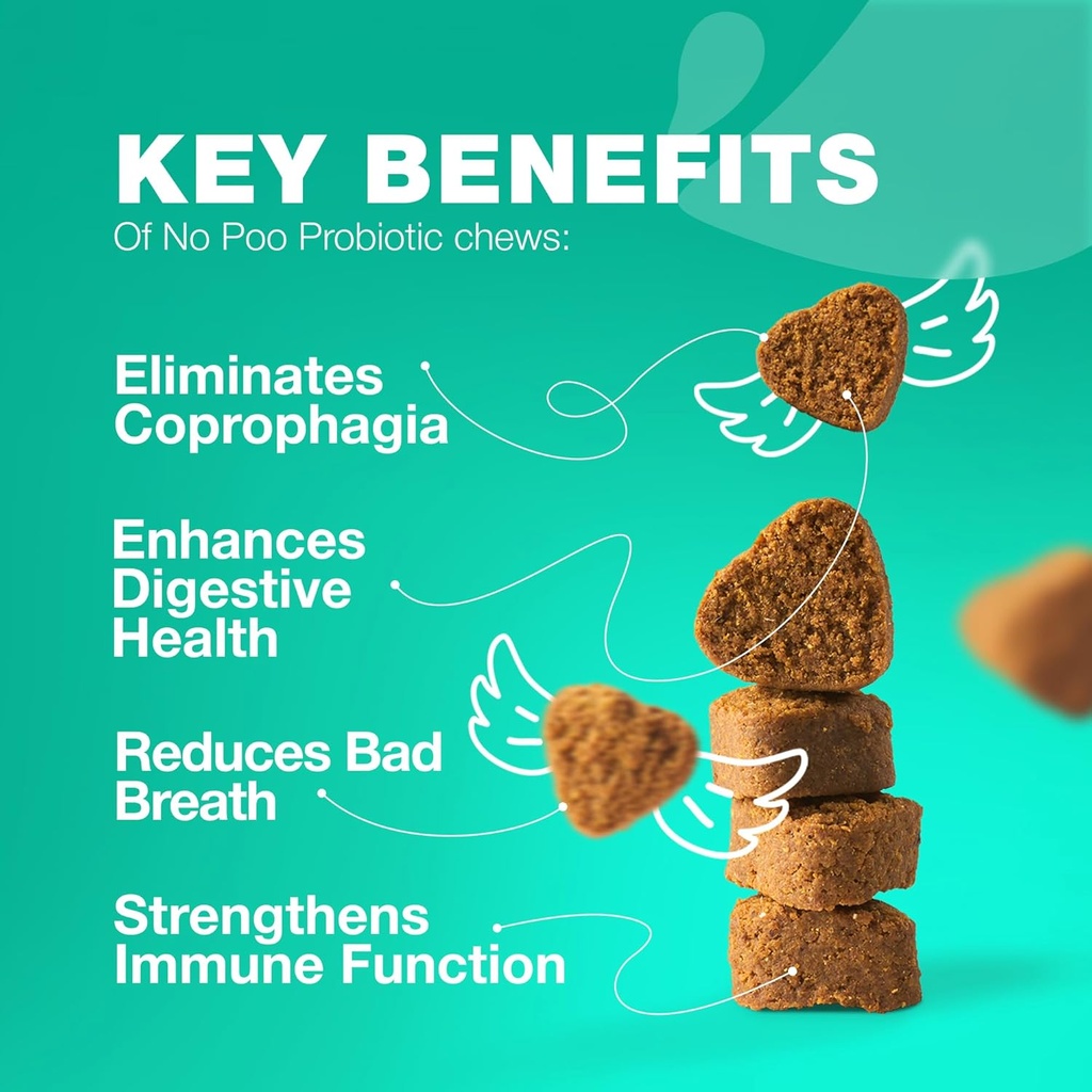 Geen Poo kauwtabletten voor honden - Enzymen, Hondenprobiotica voor de spijsvertering van de gezondheid - Canine Digestief, Gut & Immune Health Supplement