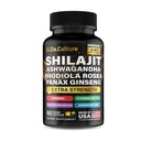 Shilajit Ashwagandha Rhodiola Rosea Panax Ginseng - voor mannen en vrouwen - Shilajit Capsules - 60 Veggie Capsules