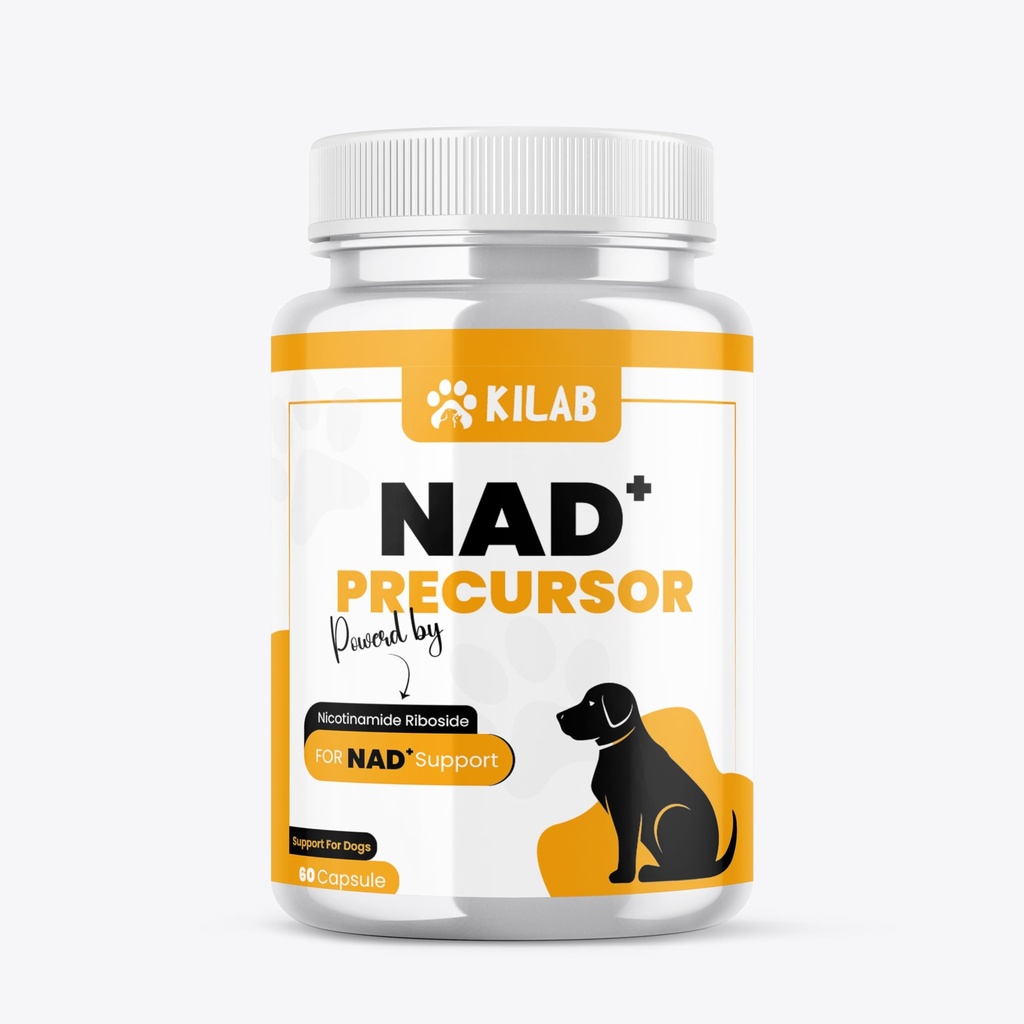 Kilab NAD+ Precursor Supplement voor honden - Ondersteunt gezonde veroudering & skeletspierondersteuning & Recovery - Hersenen, hart, en Cellular Energy Ondersteuning - Nicotinamide Riboside Chloride - 60 capsules