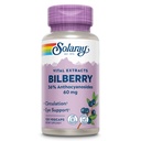SOLARAY Bilberry Berry Extract 60 mg per capsule, krachtige antioxidant, gegarandeerd vermogen voor gezonde visie en Circulatie ondersteuning 120 VegCaps