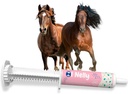 Horse Probiotica (80cc), Horse Paste Pre en Probiotica +Vitaminen &Minerals- 4 Strains en 8 Miljard CFU per Serving- Immune en Gastro Health Ondersteuning voor Equines