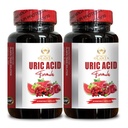 URIC Acid Support - Herstel van gezamenlijke comfort, mobiliteit, flexibiliteit, Inclusief Tart Cherry, Chanca Piedra, Selderij Extract & Kurkuma - 2 flessen 120 capsules