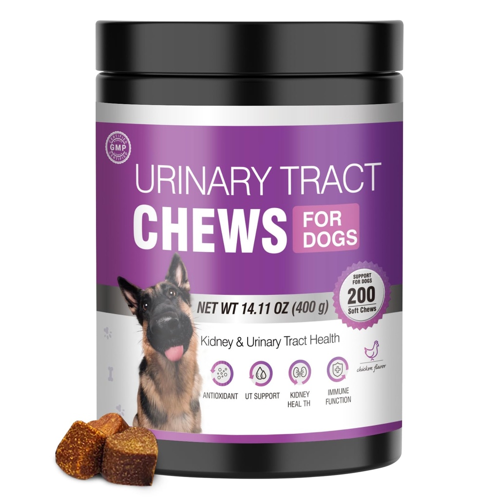 Hond UTI behandeling Cranberry Supplement voor honden 200 Kauwen Urinaire Tract Geneeskunde Bladder controle Pillen Nieren Ondersteuning Cranberry's Extract Bites Puppy UTI infectie Treats Incontinentie Remedie voor honden