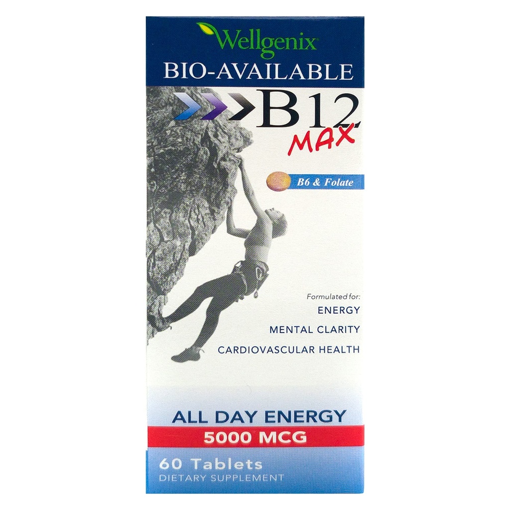 Wellgenix Bio-Beschikbare Sublingual B12 B6 Folate Vitamine Geformuleerd voor hoge absorptie - Nutritional Multivitamine Supplement (60 ct) 1 Pack