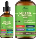 4-in-1 Mullein Drops for Longs, Organic Mullein Leaf & Honeysuckle & Eucalyptus Leaf & Echinacea Extensions, for Lung Cleanse, Immune & Respiratory Support, Sugar-Free 