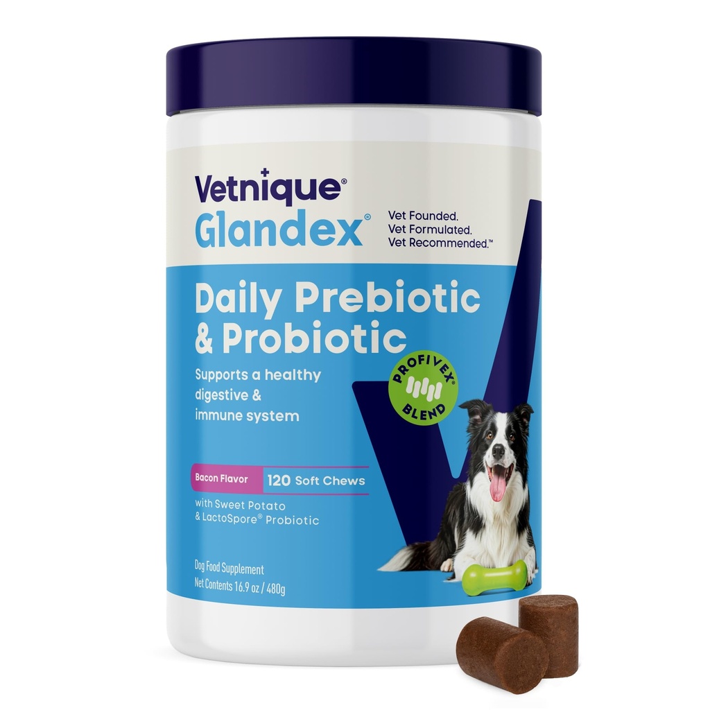 Vetnique Glandex Daily Probiotica voor honden met prebiotica ter ondersteuning van Gut Health met vezel en spijsverteringsenzymen, Probiotische Kauwen of Poeders (120ct Kauwen, Bacon Kauwen)