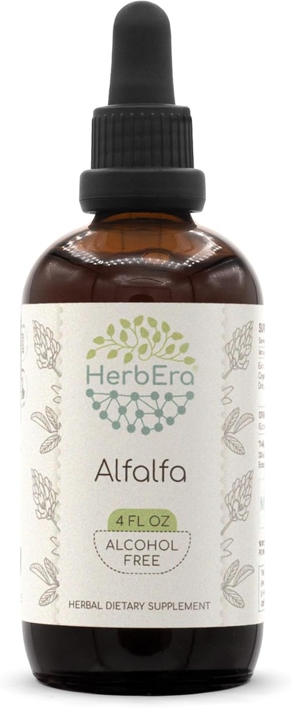 HerbEra Alfalfa B120 Alcoholvrij Kruidenextract Tinctuur, Geconcentreerde Liquid Drops Natural Alfalfa 4 fl oz