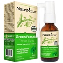 NaturaNectar - Green Propolis Throat Spray - Unieke, verzachtende Throat Care Relief met Braziliaanse bijenpropolis - Natuurlijke en niet-alcoholische Throat Care Formule van duurzame bijenhouderij (1-pack, 30ml)