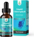 Vegan Liquid Chlorofyl Drops - Super Geconcentreerde Mint Flavored Chlorofyl Liquid Drops - Interne Cleanser Digestieve Ondersteuning Immune Health en het hele lichaam Detox en Reiniging Ondersteuning (60 Servings)