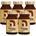 Fucoidan 3-Plus Bruin Zeewier Immuniteitssupplement met drie soorten Hoge Zuiverheid Fucoidan Biologische Mekabu Fucus Mozuku Agaricus Gemaakt in Japan (Vegetabel Capsule, 5 flessen)
